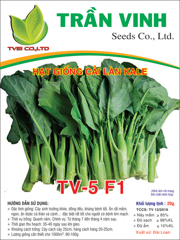 Hạt giống Cải Làn Kale TV-5 F1